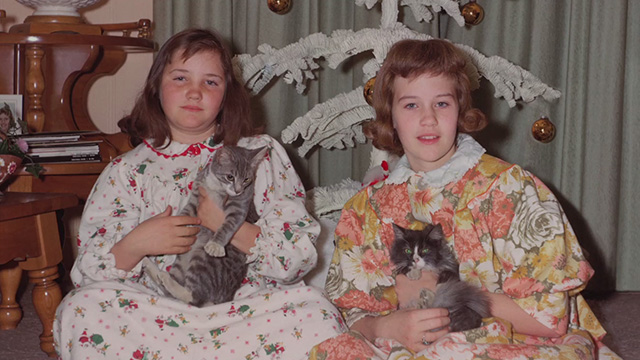 Beginners - photo of girls in pajamas with cats in front of Christmas tree