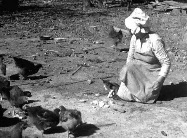 Believe it or Not - Mrs. R.L. Stanford with hairy chickens and tabby and white kitten