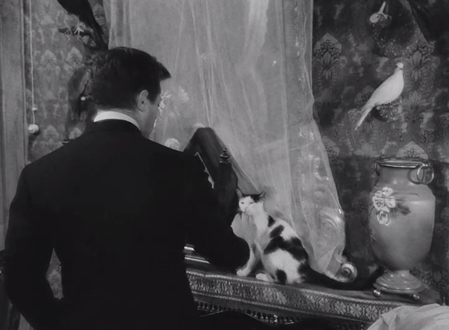 Il bell'Antonio - Marcello Mastroianni petting black and white tuxedo cat on mantel