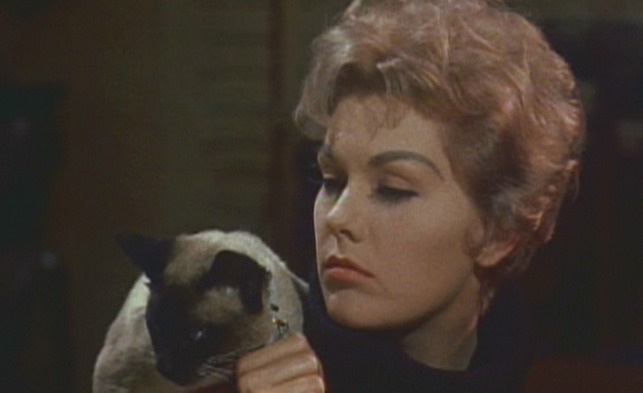 Bell, Book and Candle - cat Pyewacket with Gillian Kim Novak