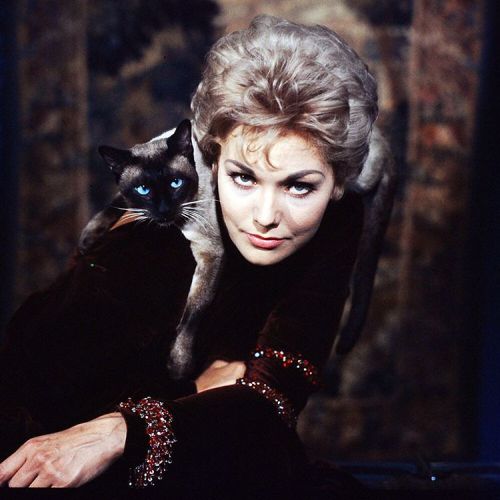 Bell, Book and Candle - cat Pyewacket on Kim Novak's shoulder for Life magazine cover