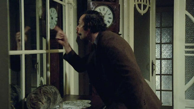 Belle - Mathieu Jean-Luc Bideau startling brown tabby cat Juliette from table