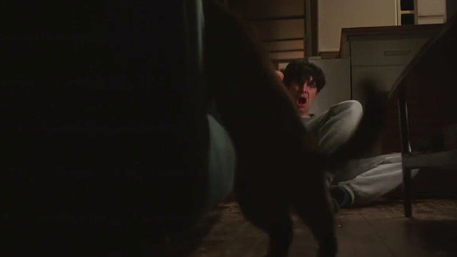 Benjamin - Colin Morgan startled by torbie cat jumping onto sofa
