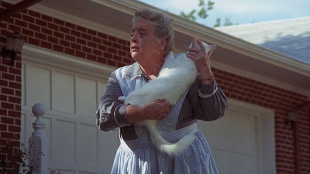 Benji - white cat Sweetie Petey held by woman Frances Bavier