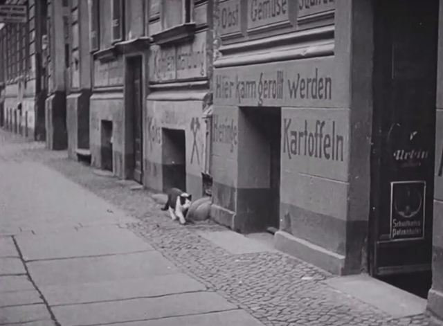 Berlin: Symphony of a Great City - black and white cat walking on sidewalk