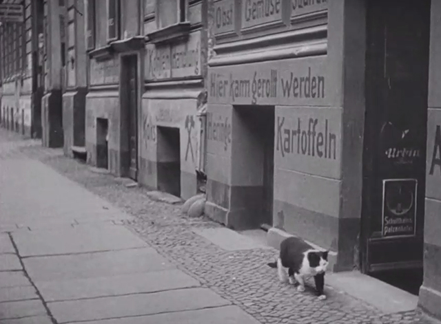 Berlin: Symphony of a Great City - black and white cat walking on sidewalk