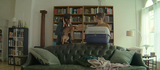 Best Sellers - Abyssinian cat Hemmy being placed in carrier by Rachel Ellen Wong and Lucy Aubrey Plaza