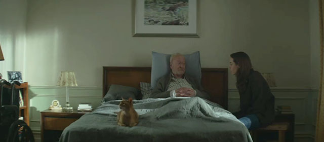 Best Sellers - Abyssinian cat Hemmy on bed with Harris Shaw Michael Caine and Lucy Aubrey Plaza