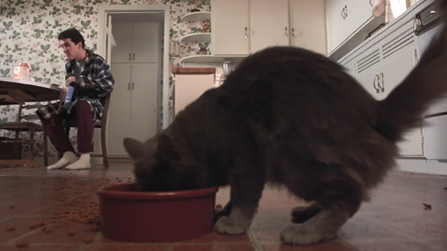 Better Off Dead - gray cat eating from bowl with Lane John Cusack at table in background