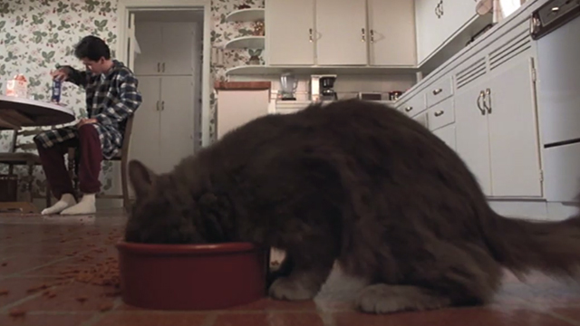Better Off Dead - gray cat eating from bowl with Lane John Cusack at table in background