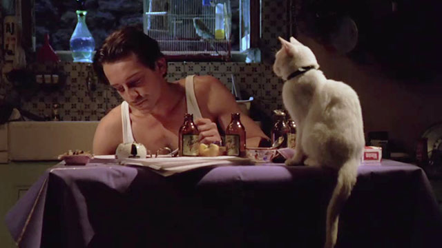 Betty Blue - Zorg Jean-Hugues Anglade with white cat sitting on table