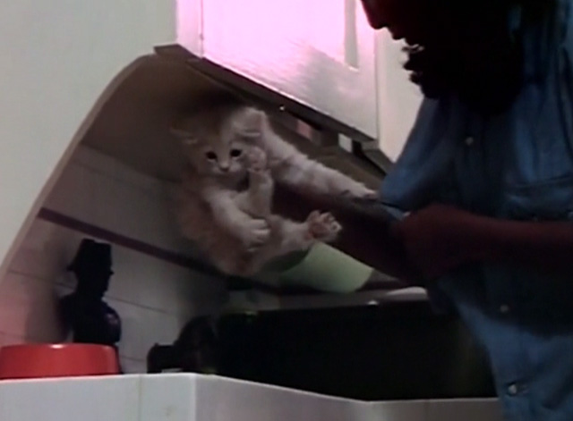 Beware! The Blob - Mariane Marlene Clark pulling orange tabby kitten Samuel's claws out of shirt