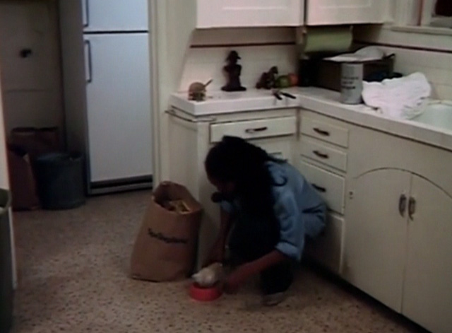 Beware! The Blob - Mariane Marlene Clark setting orange tabby kitten Samuel on floor with food bowl