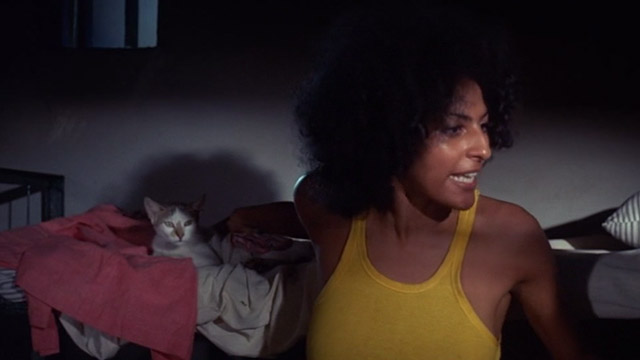 The Big Doll House - Grear Pam Grier yelling with white and colored cat on ...