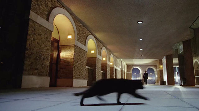 Biggles: Adventures in Time - black cat running across concourse in front of Raymond Peter Cushing