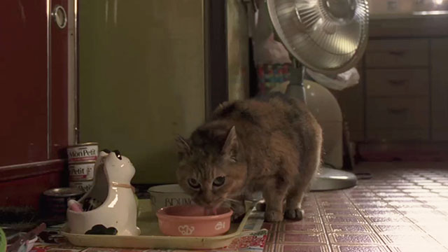 Big Man Japan - torbie cat drinking from bowl