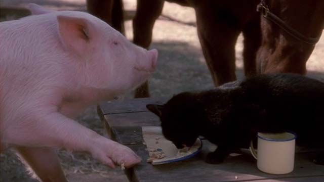 Big Top Pee-Wee - black cat on table eating from pig's plate