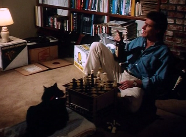 The Big Turnaround - Jim Bryan Cranston playing chess with long-haired black cat Archibald