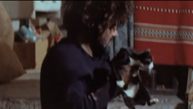 The Bird with the Crystal Plumage - Berto Consalvi Mario Adorf catching tuxedo cat
