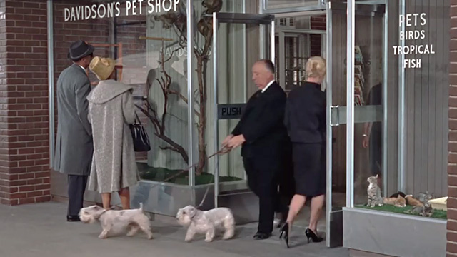The Birds - Melanie Tippi Hedren entering pet store as Hitchock exits with dogs with kittens in window