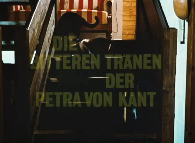 The Bitter Tears of Petra von Kant - black cat and Siamese cat on staircase under opening credits