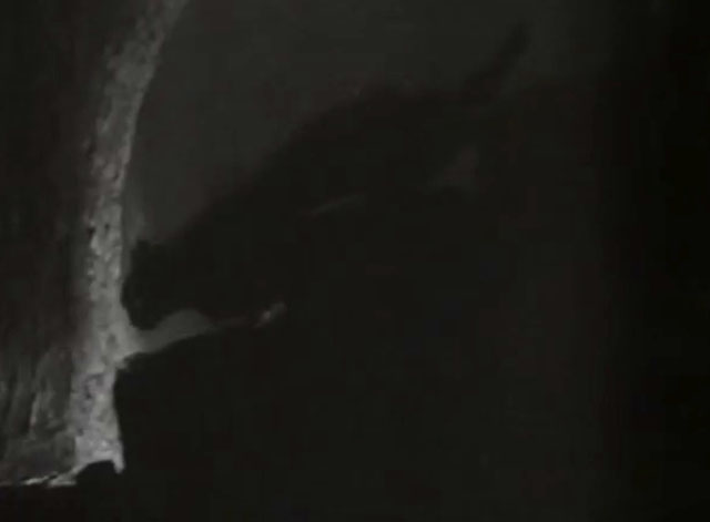 The Black Abbot - black cat walking down stone stairs