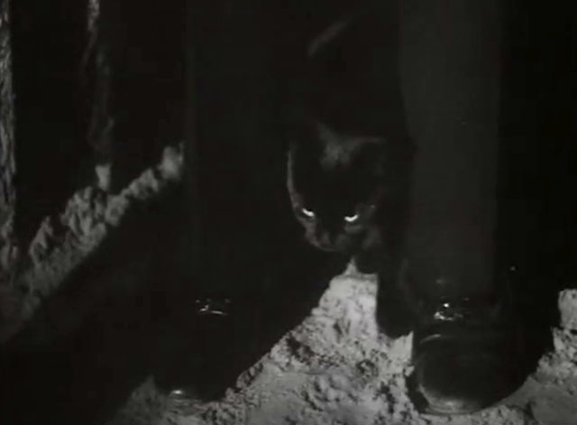 The Black Abbot - black cat between man's feet