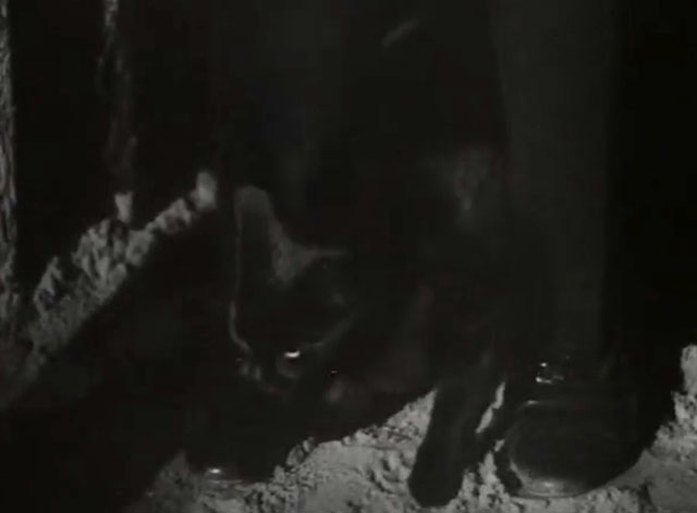 The Black Abbot - black cat between man's feet