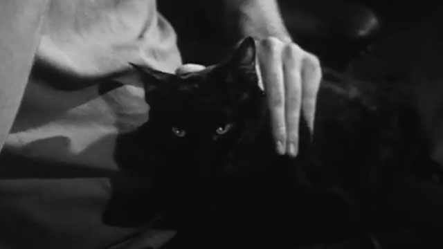 The Black Cat - black cat Pluto petted by Lou Robert Frost