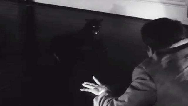 The Black Cat - black cat Pluto hissing at Lou Robert Frost