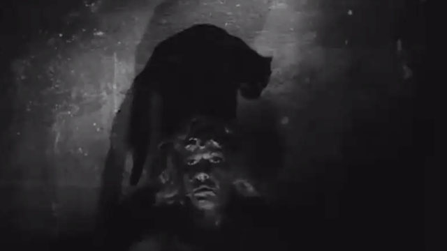 The Black Cat - black cat sitting on the dead Diana's head