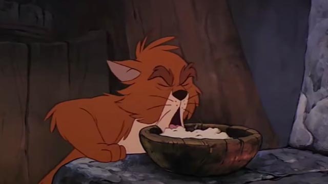 The Black Cauldron - orange and white Cat about to take bite from bowl of food