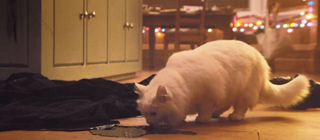 Black Christmas 2019 - long haired white cat Claudette Rana licking black goo from floor