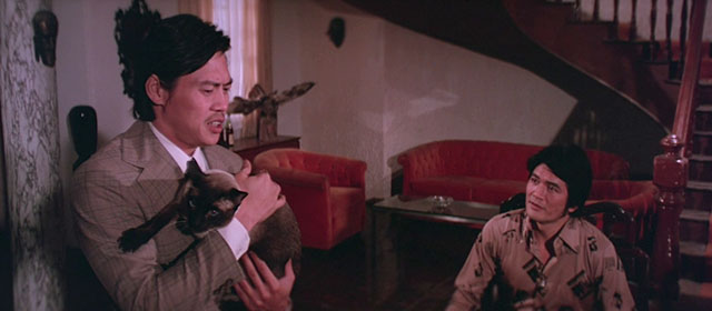 Black Magic 2 - Gou hun jiang tou - Siamese cat being held by Kang Cong Lieh Lo with Zhang Danian