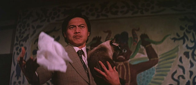 Black Magic 2 - Gou hun jiang tou - Siamese cat being held by Kang Cong Lieh Lo catching handkerchief