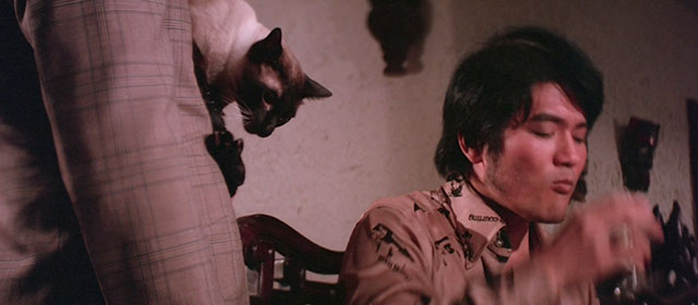 Black Magic 2 - Gou hun jiang tou - Siamese cat being held with Zhang Danian