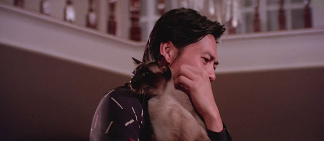 Black Magic 2 - Gou hun jiang tou - Siamese cat being held by Kang Cong Lieh Lo