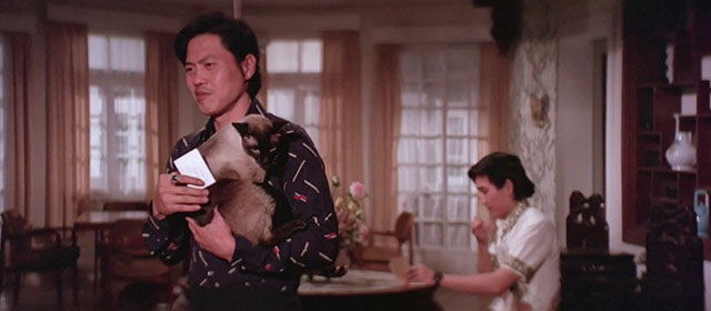 Black Magic 2 - Gou hun jiang tou - Siamese cat being held by Kang Cong Lieh Lo with Dr. Shi Chen-Sheng Wei-Tu Lin in background