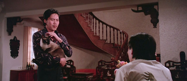 Black Magic 2 - Gou hun jiang tou - Siamese cat being held by Kang Cong Lieh Lo with Dr. Shi Chen-Sheng Wei-Tu Lin