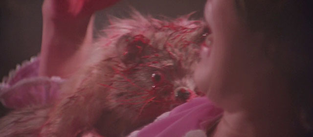 Black Magic 2 - Gou hun jiang tou - fake animal possibly cat covered in blood