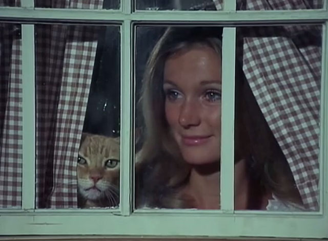 Black Noon - ginger tabby cat and Deliverance Yvette Mimieux looking out window