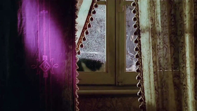 Black Sabbath - I I tre volti della paura - tuxedo cat outside frosted window