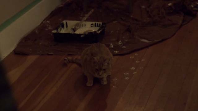 Blackway - orange tabby cat sitting on floor with paint pawprints around