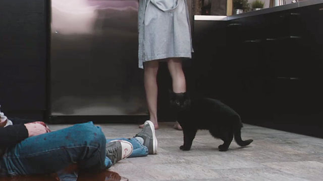 Blindsided - black cat Shadow sitting on kitchen floor near dead body