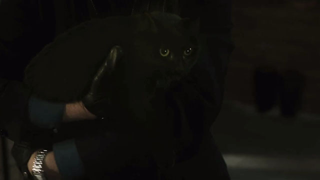 Blindsided - black cat Shadow being held