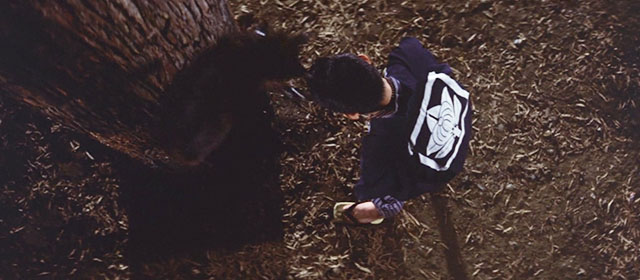 Blind Woman's Curse - black cat dropping down on Kantaro Hideo Sunazuka by tree