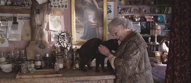 Blithe Spirit - Madame Arcati Judi Dench petting black cat