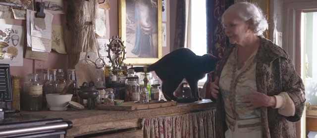 Blithe Spirit - Madame Arcati Judi Dench moving around black cat