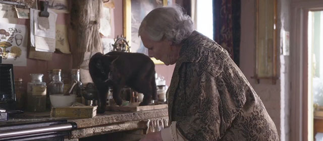 Blithe Spirit - Madame Arcati Judi Dench with black cat