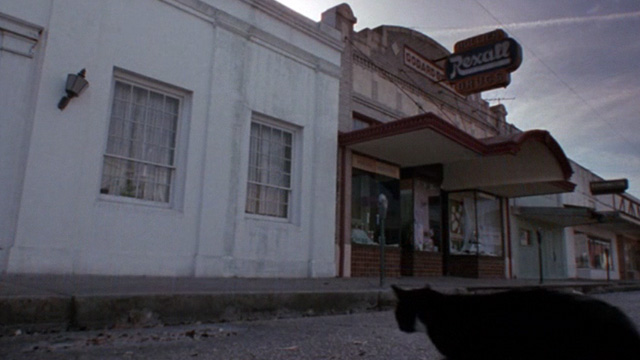 The Blob 1988 - tuxedo cat walking on empty street